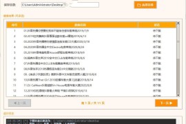 DJ歌曲下载器 成品+源码