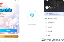VMOS Pro v3.1.4高级版（最牛的手机虚拟机神器）
