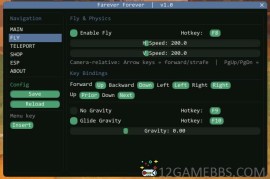 Farever 透视加速无CD多功能免费辅助v1.1