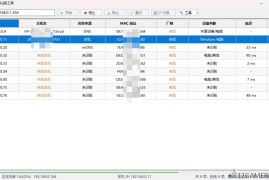 局域网设备扫描工具 V1.1