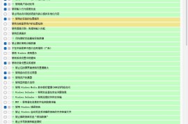 W10Privacy v5.4.0 中文绿色版（隐私设置与系统优化工具）