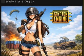 PUBG通用后坐力控制脚本 [目前未被检测]