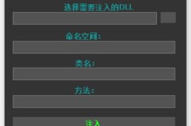 WHO's Unity 注入器 (GUI版) [x32-x64]