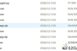 全平台IDA Pro 9.3beta泄露版+注册机