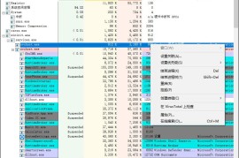 Process Explorer v17.09汉化版（系统进程管理工具）