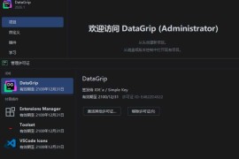 DataGrip v2026.1.0 高级版（专业数据库集成开发环境）