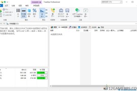 TreeSize Professional v9.7.1.2201绿色版（磁盘空间管理与分析工具）
