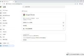 Google Chrome v143.0.7499.170便携增强版（谷歌浏览器增强版）
