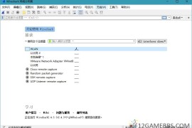 Wireshark v4.6.3绿色便携版（网络嗅探抓包工具）