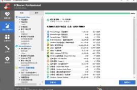 CCleaner v7.3.1120中文专业版（系统优化与隐私保护工具）