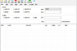 zRenamer v1.7绿色版（批量改名工具）