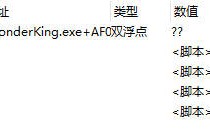 WonderKing 增伤无敌自动拾取自动战斗CT脚本+C源码