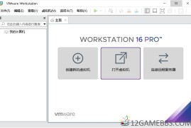 VMware Workstation v25H2u1精简版（专业级虚拟机软件）