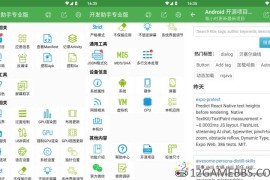 开发助手v9.2.0专业版（专业Android开发辅助工具）