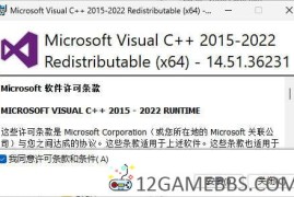 Microsoft Visual C++ 2022 14.51.36231.0