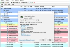 进程黑客(Process Hacker)v2.39.124