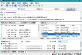 FileZilla PRO开源FTPv3.70.4专业版（FTP/FTPS/SFTP文件传输工具）