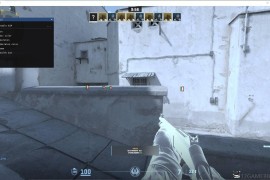 CS2 内部单板方框骨骼透视（成品+源码）