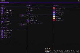 CS2 Visor单板方框骨骼透视作弊（成品+源码）