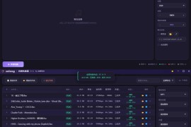 solong V1.7（批量音频转换器 ）