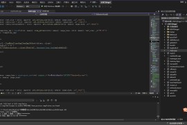 彩虹六号：围攻 R6解锁全部（源码+成品）