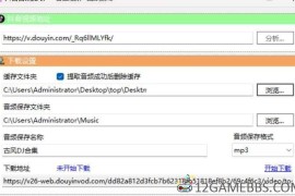 抖音短视频音频提取工具