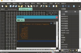 010 Editor v16.0.3汉化绿色版（十六进制编辑器）
