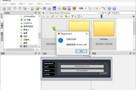 XnViewMP v1.9.10（图像查看与管理软件）