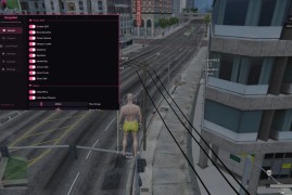 GTA5【FiveM私服】SimpleM 辅助 | 全功能透视+自喵+无敌模式 v1.1
