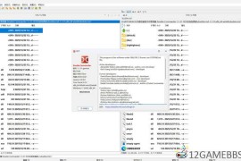 Double Commander v1.1.32绿色版（双窗格文件管理）
