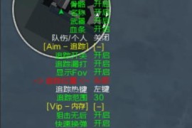 逆战 ST同款透视自瞄追踪漏打DLL