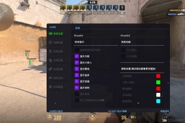 CS2 大地球透视自喵扳机多功能辅助