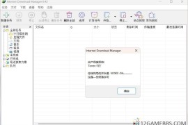 下载利器IDM v6.42注册版（高性能下载管理软件）