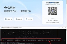 QuarkPanTool v0.06（夸克网盘助手）