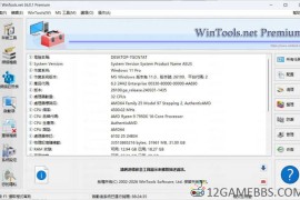 WinTools v26.0.1注册版（系统优化软件）