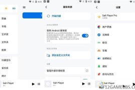 Salt Player v11.0.0原椒盐音乐（本地音乐播放器）