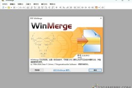 WinMerge v2.16.54.2绿色版（文件比较工具）