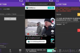 Lj视频下载器v1.1.71去广告版（专业视频下载工具）