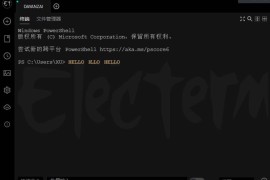 Electerm v2.3.118中文版（跨平台SSH桌面终端）