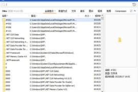 Quick Search v6.0.1.21（文件搜索工具）