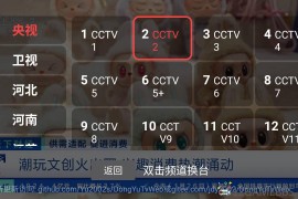 DongYuTvWeb v1.0.6.4纯净版（电视直播软件）