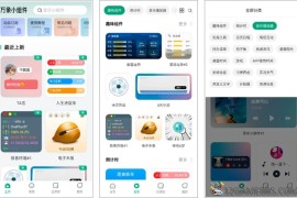 万象小组件v5.5.2会员版（超多样式或功能的小部件）