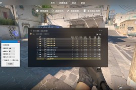 CS2 肉肉热能透视自喵助手破解版