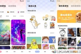 火萤动态壁纸v1.0.6会员版（海量壁纸美化桌面）