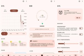 电池大师v2.4.4会员版（电池信息检测管理）