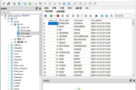 SQLiteStudio v3.4.20绿色版（数据库管理）
