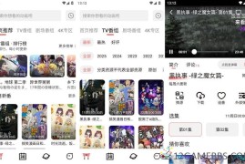 次元城动漫v5.2.0去广告版（口碑极高的免费神器）