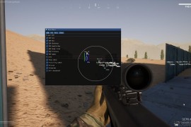 Operation Harsh Doorstop 老外透视自喵作弊