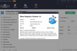 Wise Registry Cleaner v11.3.1.733（注册表清理与优化工具）