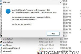 IDA 9.3x 汉化补丁